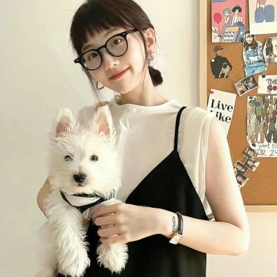 内战圣伯纳犬